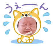 842323598