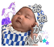 842323744