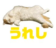 842323748