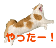 842323749