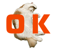 842323750