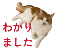 842323754