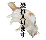 842323755