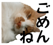842323756