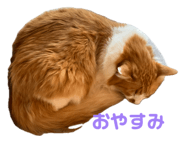 842323759