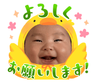 842323866