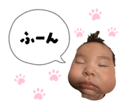 842323871