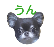 842324073