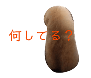 842324074