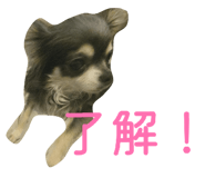 842324077