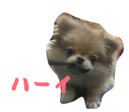 842324078