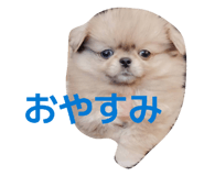 842324081