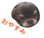842324082