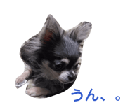 842324085