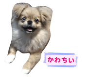 842324087