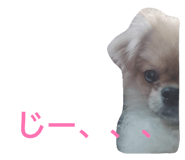 842324088