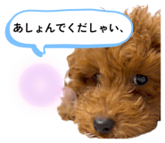 842324111