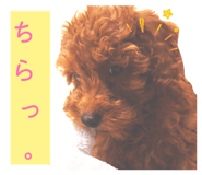 842324132