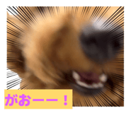 842324133
