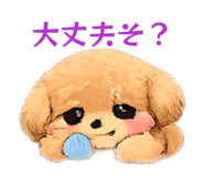 842324163