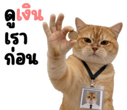 ลายที่ 13