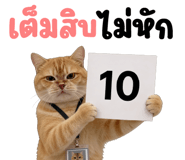 842324375