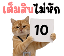 ลายที่ 15