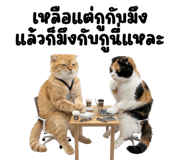 842324393
