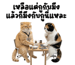 ลายที่ 33