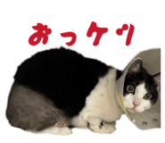 842324622