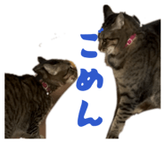 842324630