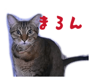 842324654