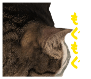 842324690