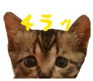 842324694