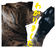 842324696