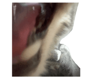 842324720