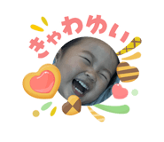 842325081