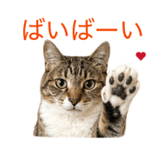 842325219