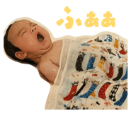842325505