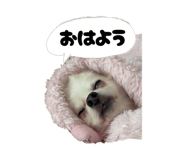842325713