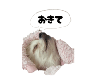 842325714