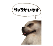 842325718