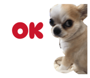 842325719