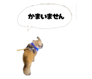 842325722