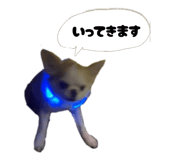 842325724