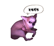 842325728