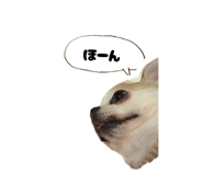 842325729