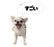 842325730