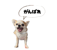 842325732