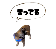 842325736